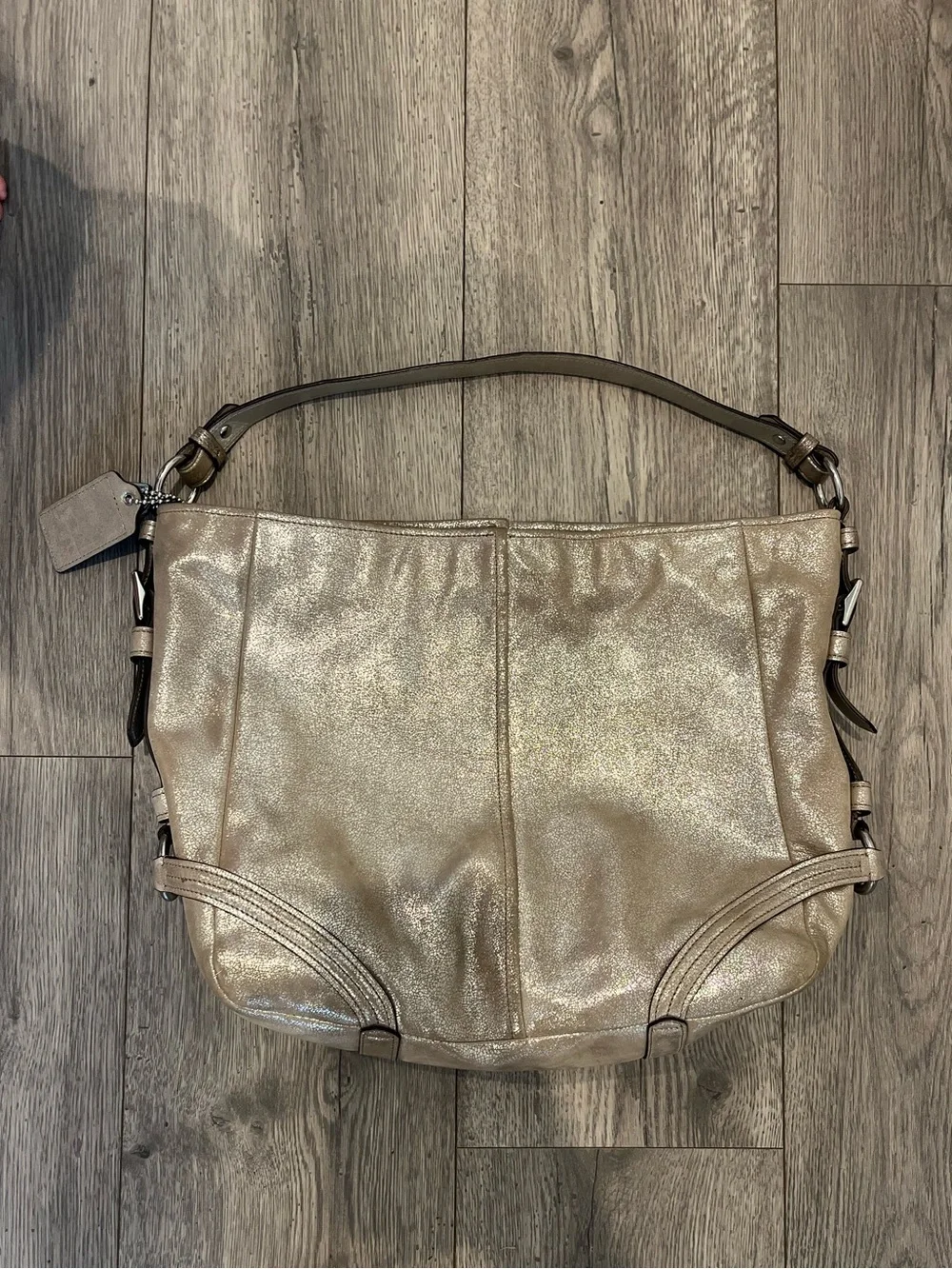 Coach Chelsea Metallic Leather Katarina Shimmer Hobo Shoulder Bag Champagne